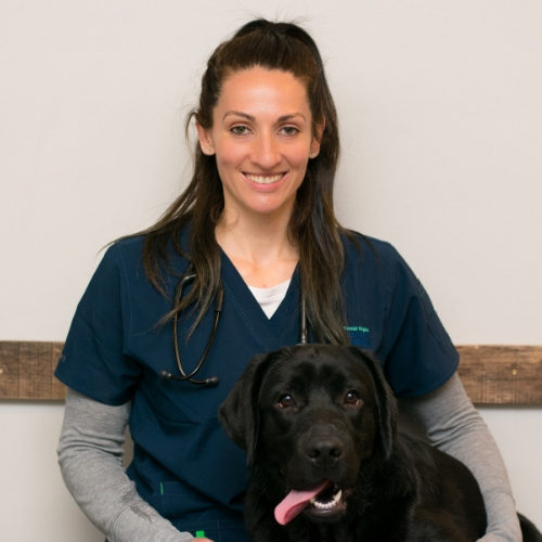 Nicole, LVT, Veterinary Technician Specialist (VTS), Dermatology
